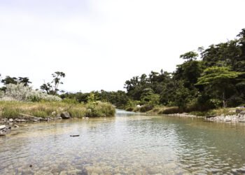 Poza natural de agua rodeada de vegetación amazónica en Bolivia, similar a los paúros ancestrales.