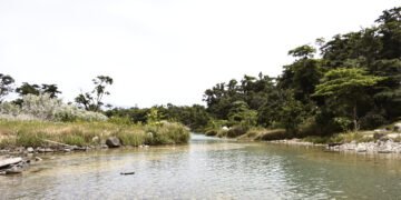 Poza natural de agua rodeada de vegetación amazónica en Bolivia, similar a los paúros ancestrales.