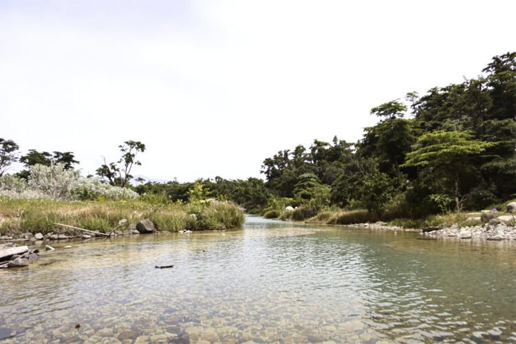 Poza natural de agua rodeada de vegetación amazónica en Bolivia, similar a los paúros ancestrales.