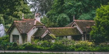 Techo verde con paneles solares integrados entre vegetación en edificio sustentable.