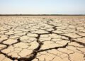Cauce de río seco con tierra agrietada, consecuencia de la sequía extrema que afectó a los ríos del mundo en 2025.