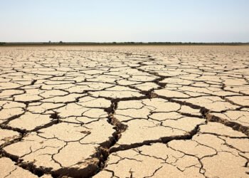 Cauce de río seco con tierra agrietada, consecuencia de la sequía extrema que afectó a los ríos del mundo en 2025.