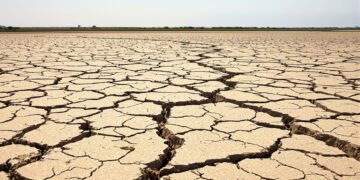 Cauce de río seco con tierra agrietada, consecuencia de la sequía extrema que afectó a los ríos del mundo en 2025.