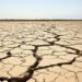 Cauce de río seco con tierra agrietada, consecuencia de la sequía extrema que afectó a los ríos del mundo en 2025.