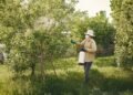 Campo agrícola bajo aplicación de pesticidas, contexto de la identificación de 485 químicos cancerígenos en productos aprobad