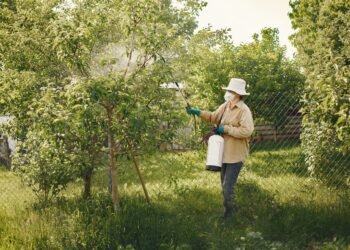 Campo agrícola bajo aplicación de pesticidas, contexto de la identificación de 485 químicos cancerígenos en productos aprobad