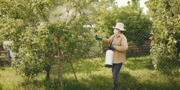 Campo agrícola bajo aplicación de pesticidas, contexto de la identificación de 485 químicos cancerígenos en productos aprobad