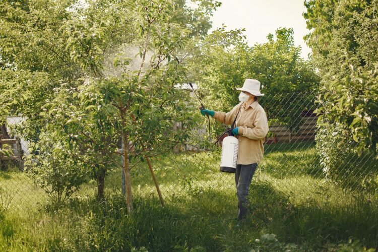 Campo agrícola bajo aplicación de pesticidas, contexto de la identificación de 485 químicos cancerígenos en productos aprobad