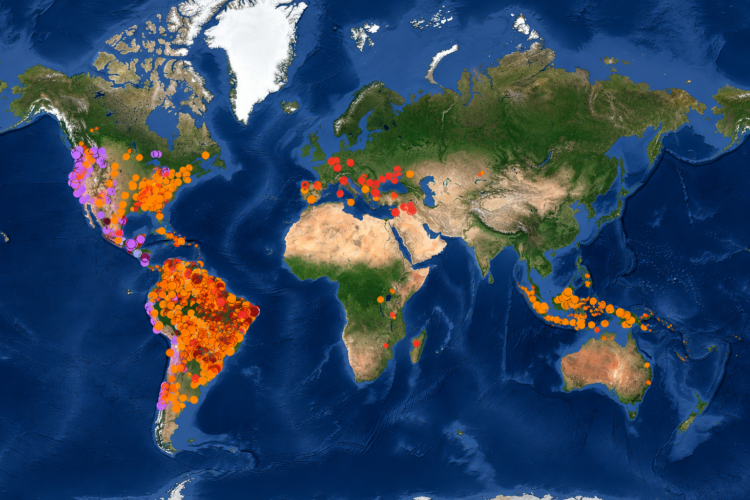 “Óscar del ambiente”: conocé a la empresa argentina que detecta incendios forestales 35 minutos antes que la NASA y es finalista