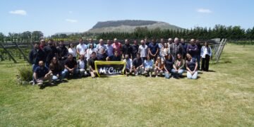 Papa argentina: los productores que le están ganando la carrera al suelo agotado