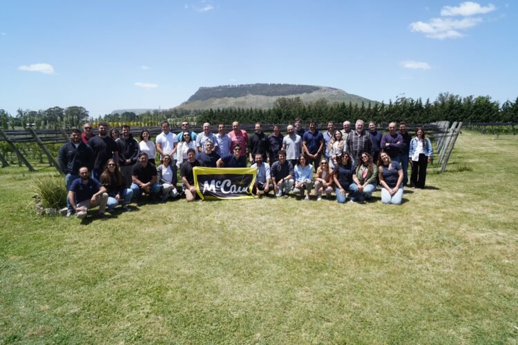 Papa argentina: los productores que le están ganando la carrera al suelo agotado