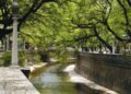 Arroyo La Cañada: vecinos de Córdoba impulsan una nueva reserva natural urbana para proteger 150 hectáreas de corredor biológico