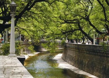 Arroyo La Cañada: vecinos de Córdoba impulsan una nueva reserva natural urbana para proteger 150 hectáreas de corredor biológico
