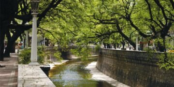 Arroyo La Cañada: vecinos de Córdoba impulsan una nueva reserva natural urbana para proteger 150 hectáreas de corredor biológico