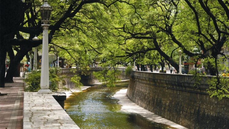 Arroyo La Cañada: vecinos de Córdoba impulsan una nueva reserva natural urbana para proteger 150 hectáreas de corredor biológico