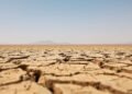 Tierra agrietada por sequía extrema bajo sol intenso, ilustrando el récord de temperatura global de agosto de 2026.