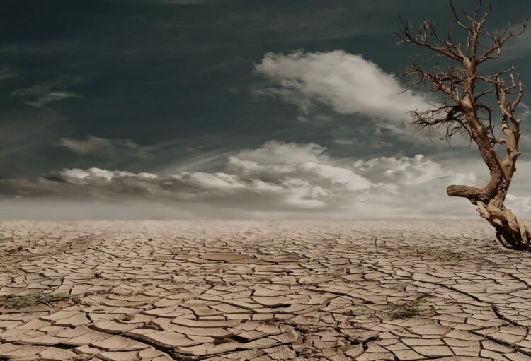 Tierra agrietada por sequía extrema, símbolo del récord de calor de agosto 2026.