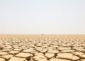Tierra agrietada por sequía extrema, símbolo del récord de temperatura de agosto 2026.