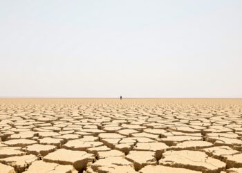 Tierra agrietada por sequía extrema, símbolo del récord de temperatura de agosto 2026.