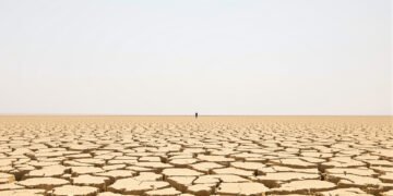 Tierra agrietada por sequía extrema, símbolo del récord de temperatura de agosto 2026.