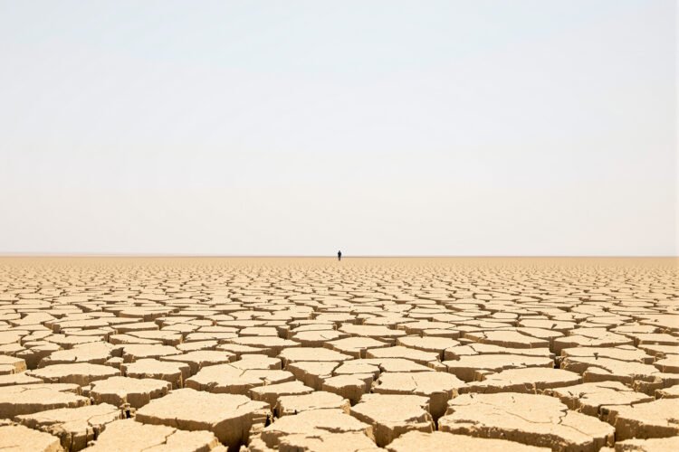 Tierra agrietada por sequía extrema, símbolo del récord de temperatura de agosto 2026.