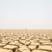 Tierra agrietada por sequía extrema, símbolo del récord de temperatura de agosto 2026.