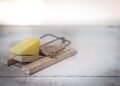 Control de plagas y productos químicos para roedores bajo supervisión sanitaria.