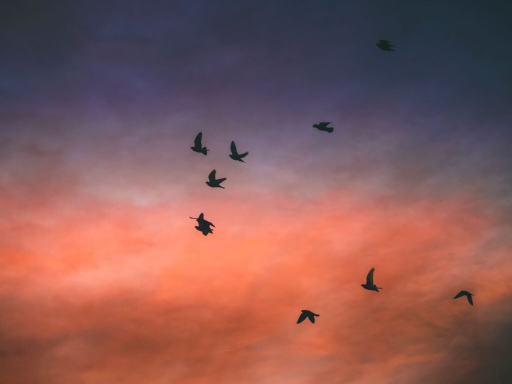 Aves migratorias en formación durante su vuelo anual entre continentes.