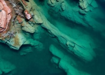 Cañón submarino en aguas profundas del océano, hábitat remoto del Mar Argentino.