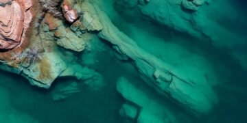 Cañón submarino en aguas profundas del océano, hábitat remoto del Mar Argentino.