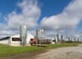 Instalaciones de una granja avícola industrial en Argentina