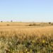 Campo rural argentino con extensas hectáreas de tierras cultivables bajo cielo abierto.