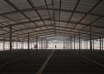 Planta avícola industrial en Argentina, representando la crisis de Granja Tres Arroyos y Wade en el sector.
