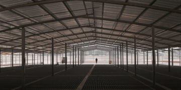 Planta avícola industrial en Argentina, representando la crisis de Granja Tres Arroyos y Wade en el sector.