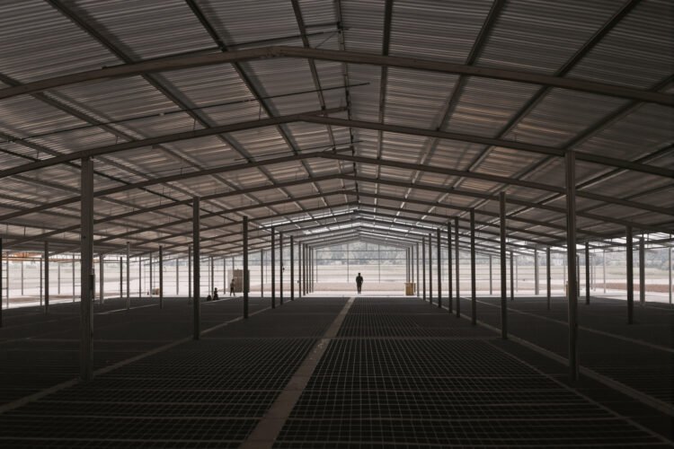 Planta avícola industrial en Argentina, representando la crisis de Granja Tres Arroyos y Wade en el sector.