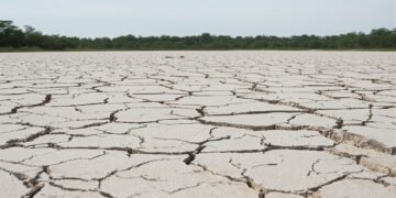 Lecho de río amazónico seco y agrietado por sequía extrema en Perú.