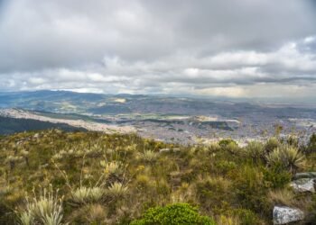 Paisaje de páramo andino en Colombia, ecosistema de alta montaña que provee agua a millones de personas.