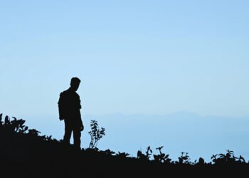 Silueta de defensor ambiental en bosque tropical colombiano, región de Cauca.