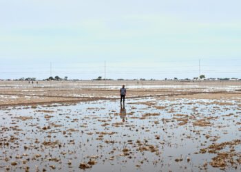 Campo agrícola inundado en la región pampeana argentina durante temporada de siembra.