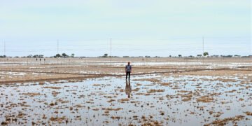 Campo agrícola inundado en la región pampeana argentina durante temporada de siembra.