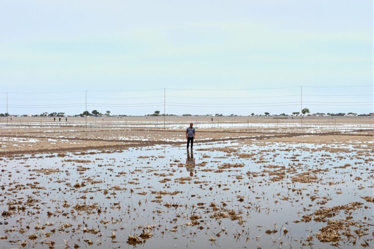 Campo agrícola inundado en la región pampeana argentina durante temporada de siembra.