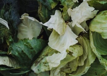 Alimentos descartados en Argentina: verduras y productos frescos desperdiciados en supermercados.