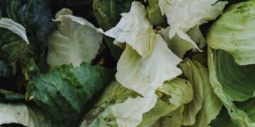 Alimentos descartados en Argentina: verduras y productos frescos desperdiciados en supermercados.