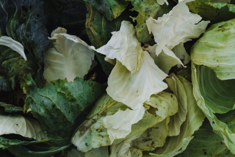 Alimentos descartados en Argentina: verduras y productos frescos desperdiciados en supermercados.