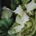 Alimentos descartados en Argentina: verduras y productos frescos desperdiciados en supermercados.