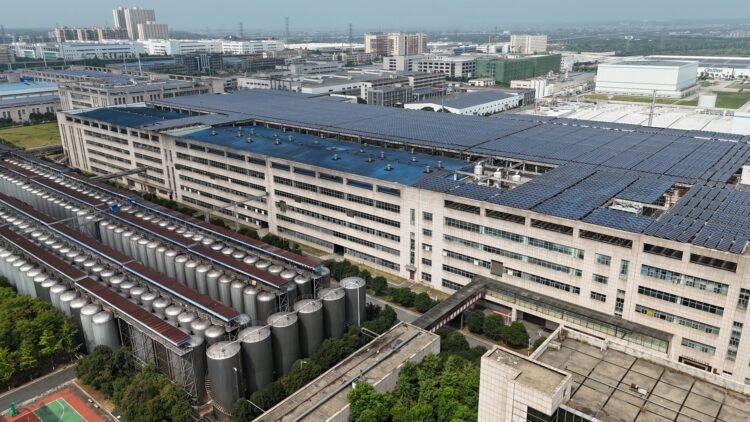 Planta de fabricación de paneles solares en China, representando la industria fotovoltaica en crisis.