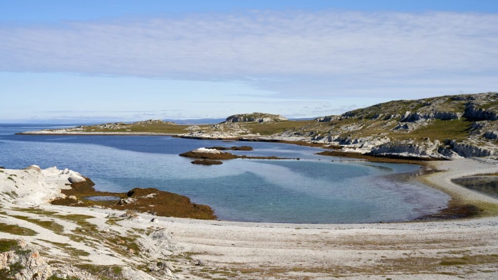 Paisaje costero de las Islas Malvinas, territorio en disputa por soberanía y recursos naturales en el Atlántico Sur.