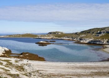 Paisaje costero de las Islas Malvinas, territorio en disputa por soberanía y recursos naturales en el Atlántico Sur.