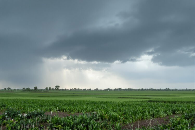Nubes de tormenta sobre paisaje con lluvias intensas asociadas al fenómeno El Niño 2026.