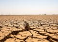 Tierra agrietada por la sequía en África subsahariana, región vulnerable al fenómeno de El Niño.